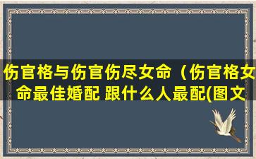 伤官格与伤官伤尽女命（伤官格女命最佳婚配 跟什么人最配(图文)）